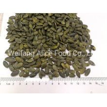 Grow Without Shell Pumpkin Seeds European Quality BRC Cert Pumpkin Seeds